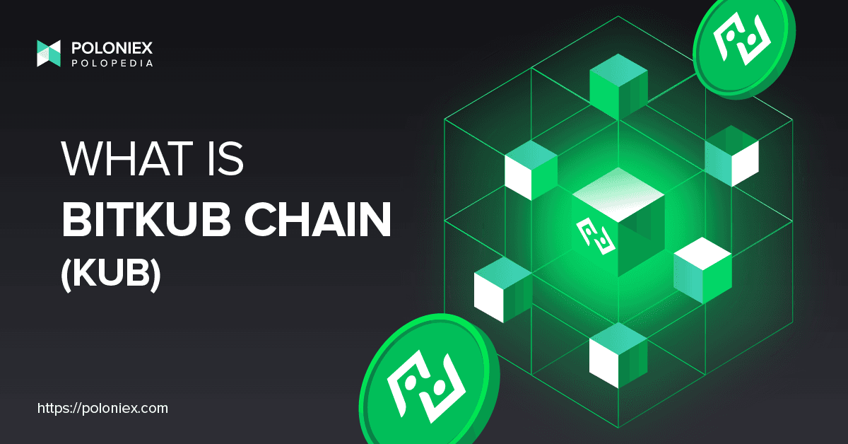 What is Bitkub Chain (KUB)?
