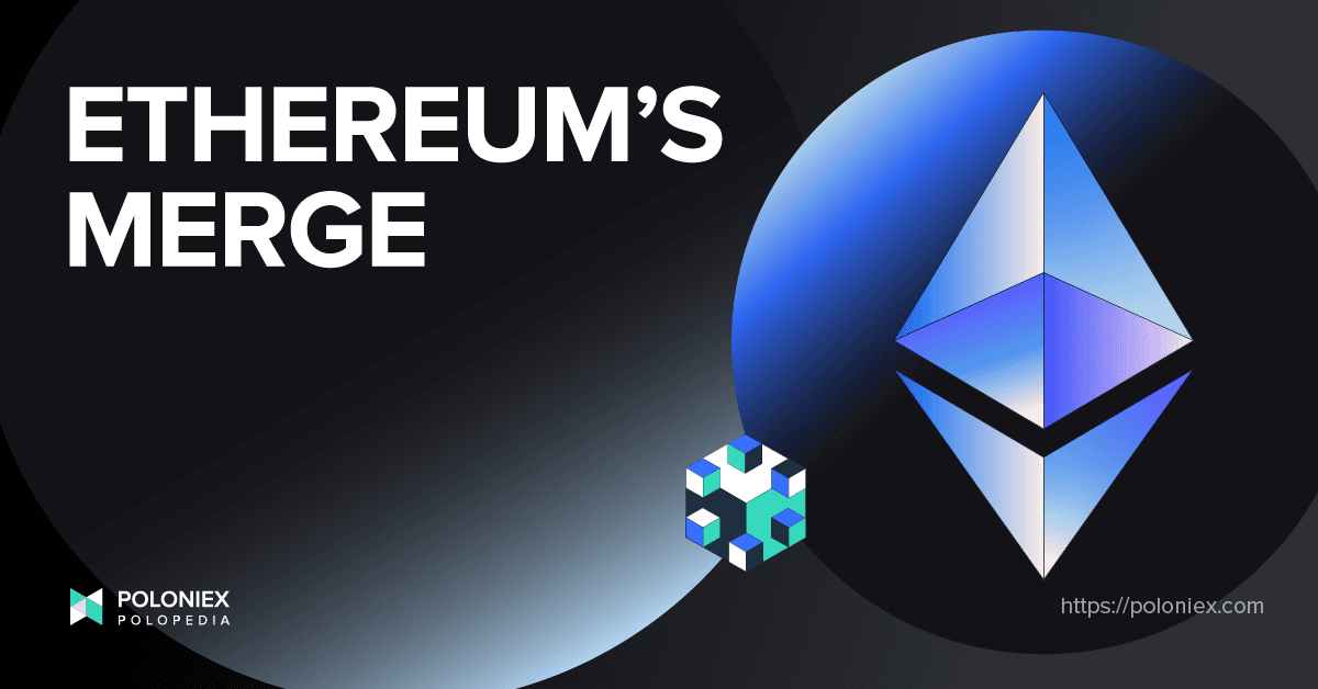 News Article Banner Image