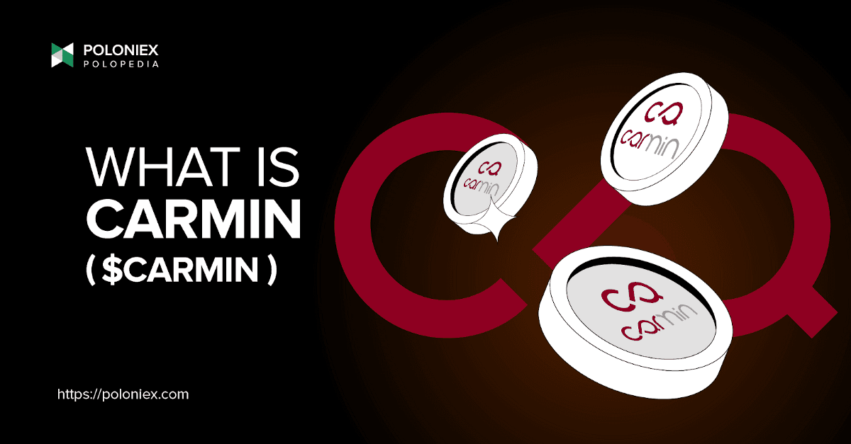 What is Carmin ($CARMIN)?
