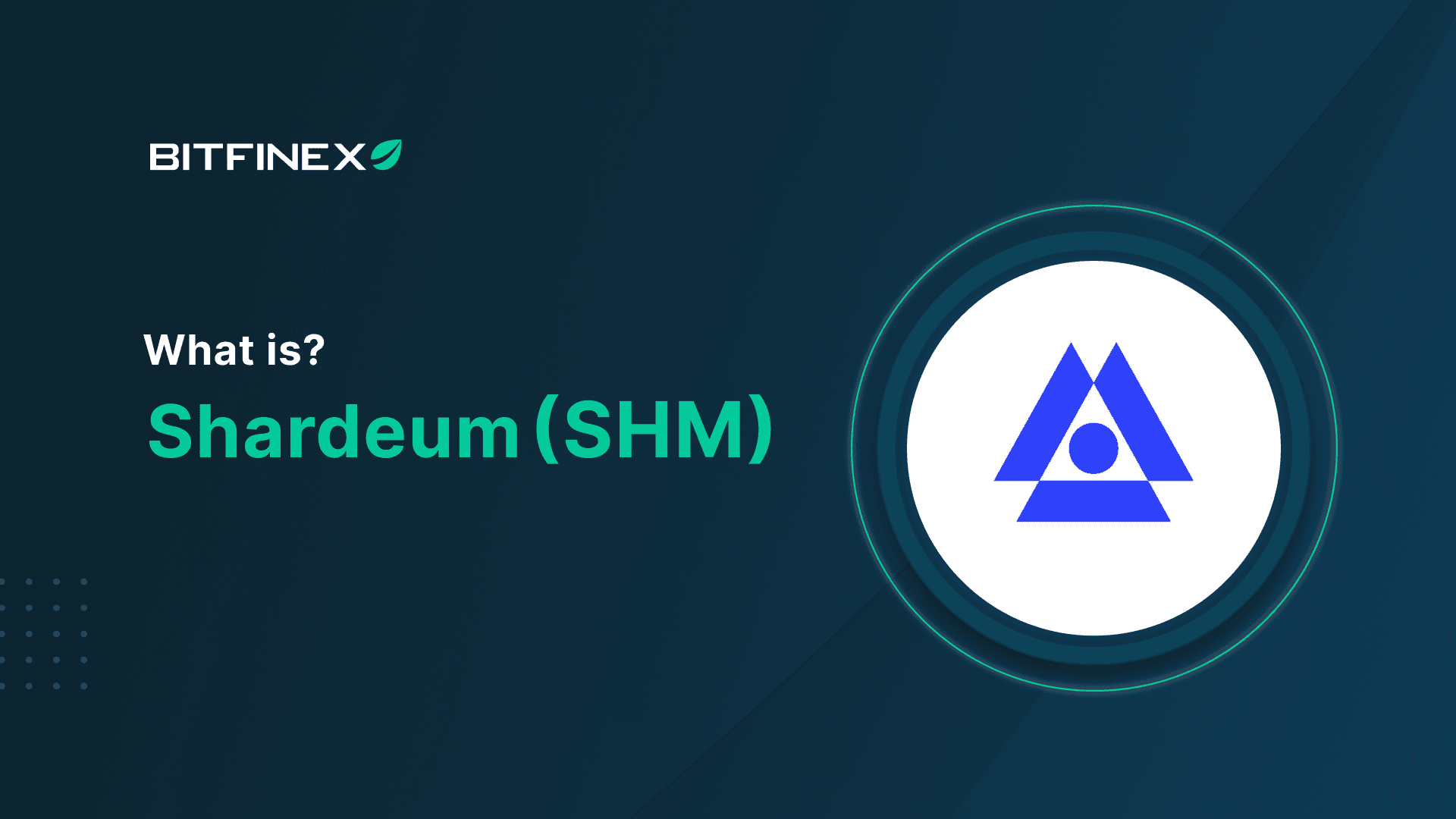 What is Shardeum (SHM)?