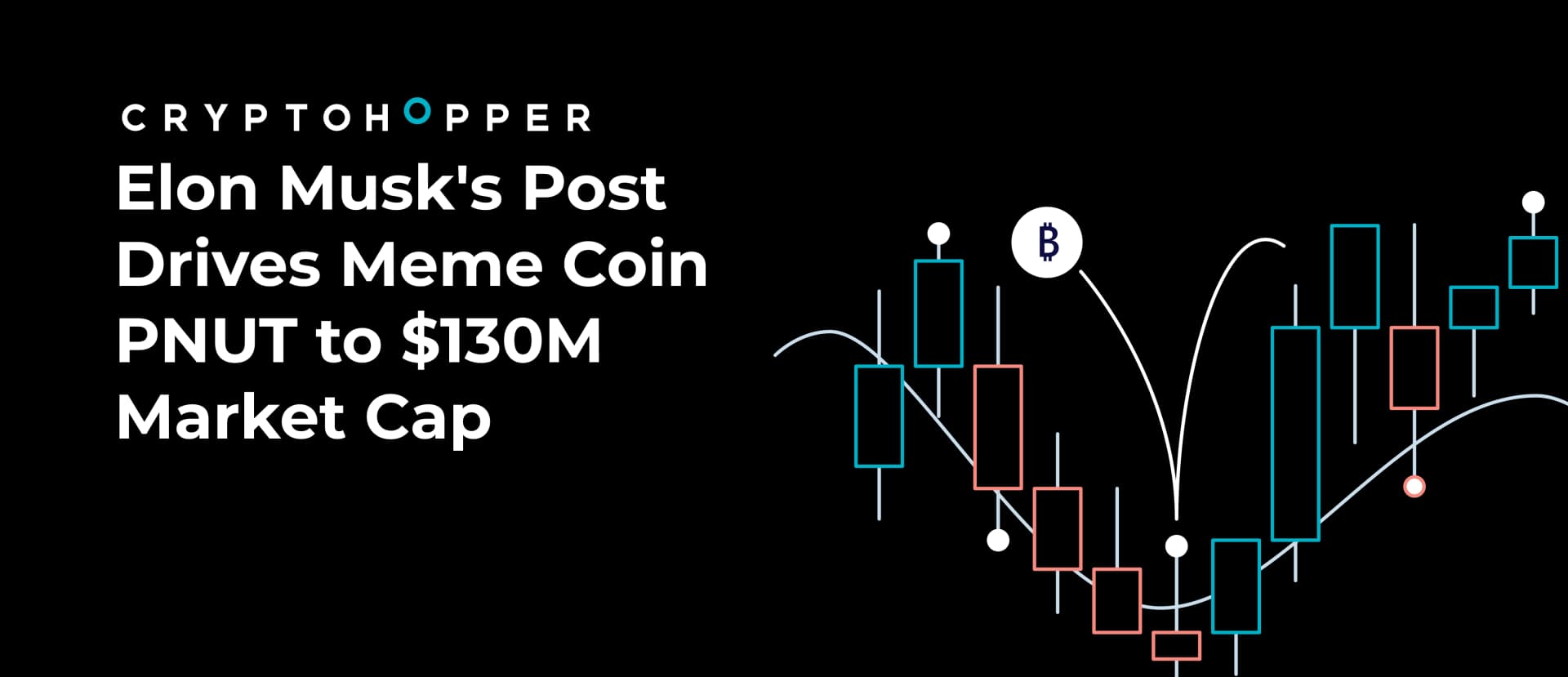 Elon Musk's Post Drives Meme Coin PNUT to $130M Market Cap