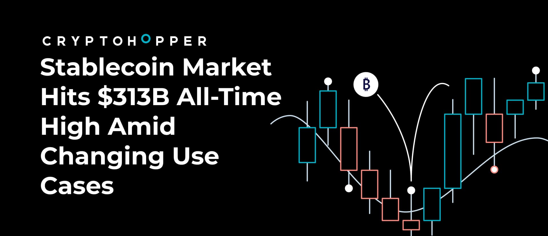 Stablecoin Market Hits $313B All-Time High Amid Changing Use Cases