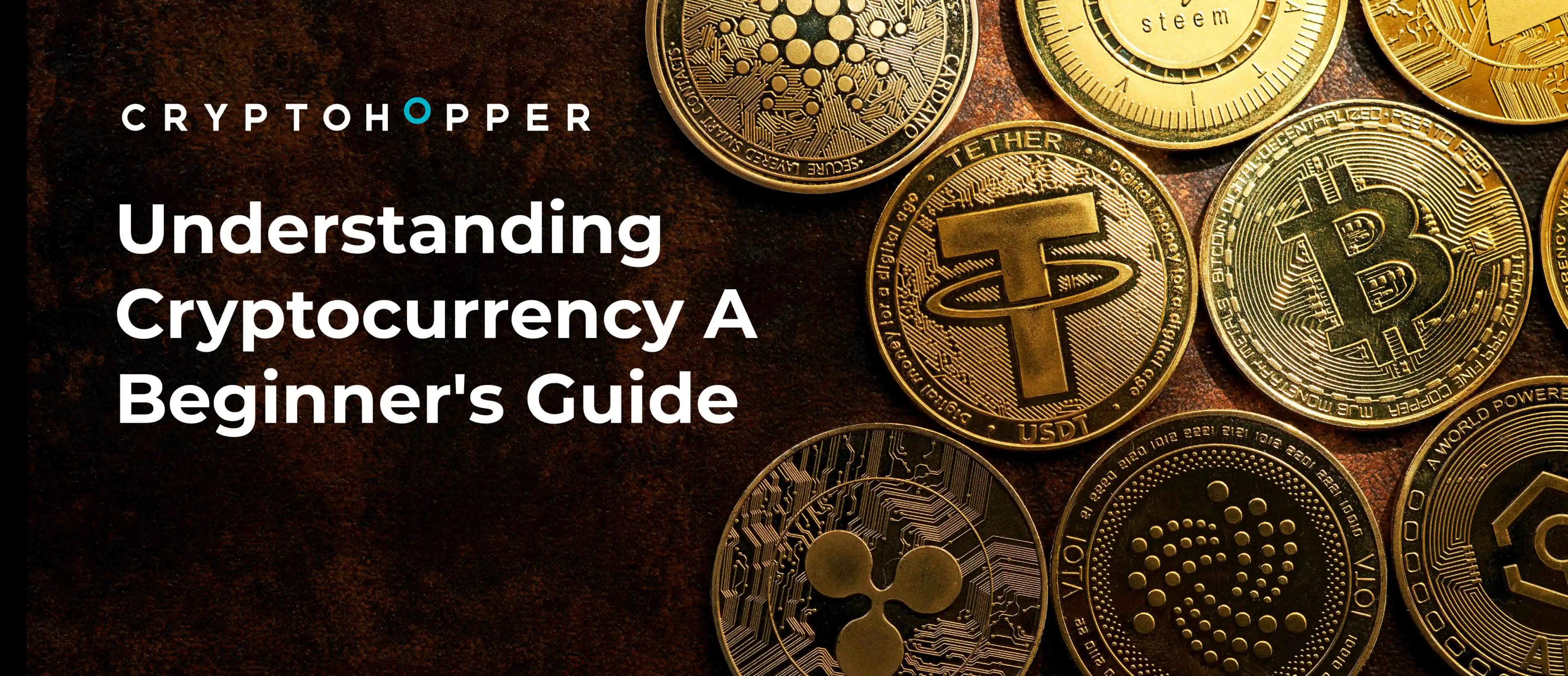 Understanding Cryptocurrency A Beginner's Guide