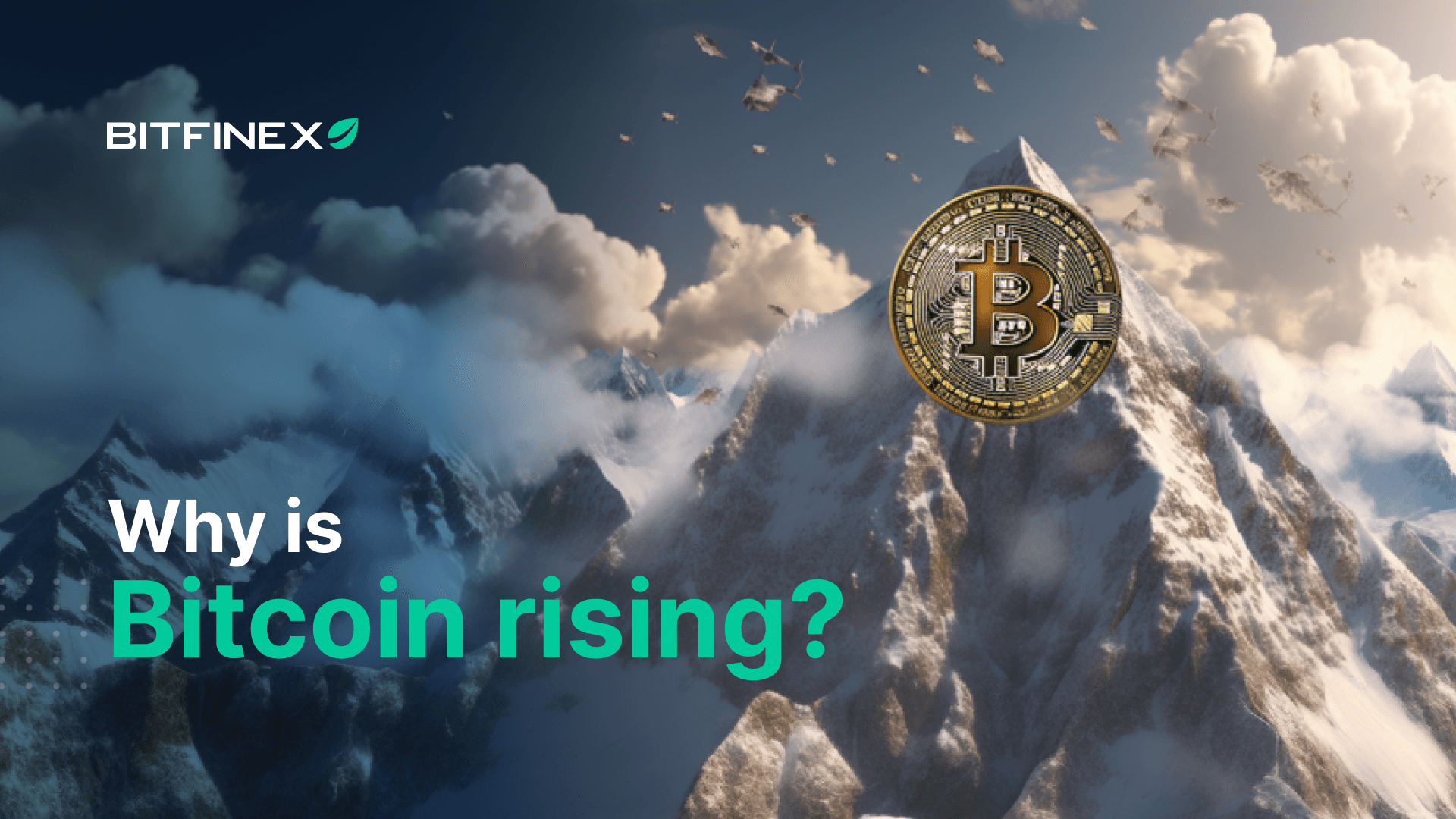 Why is Bitcoin rising?
