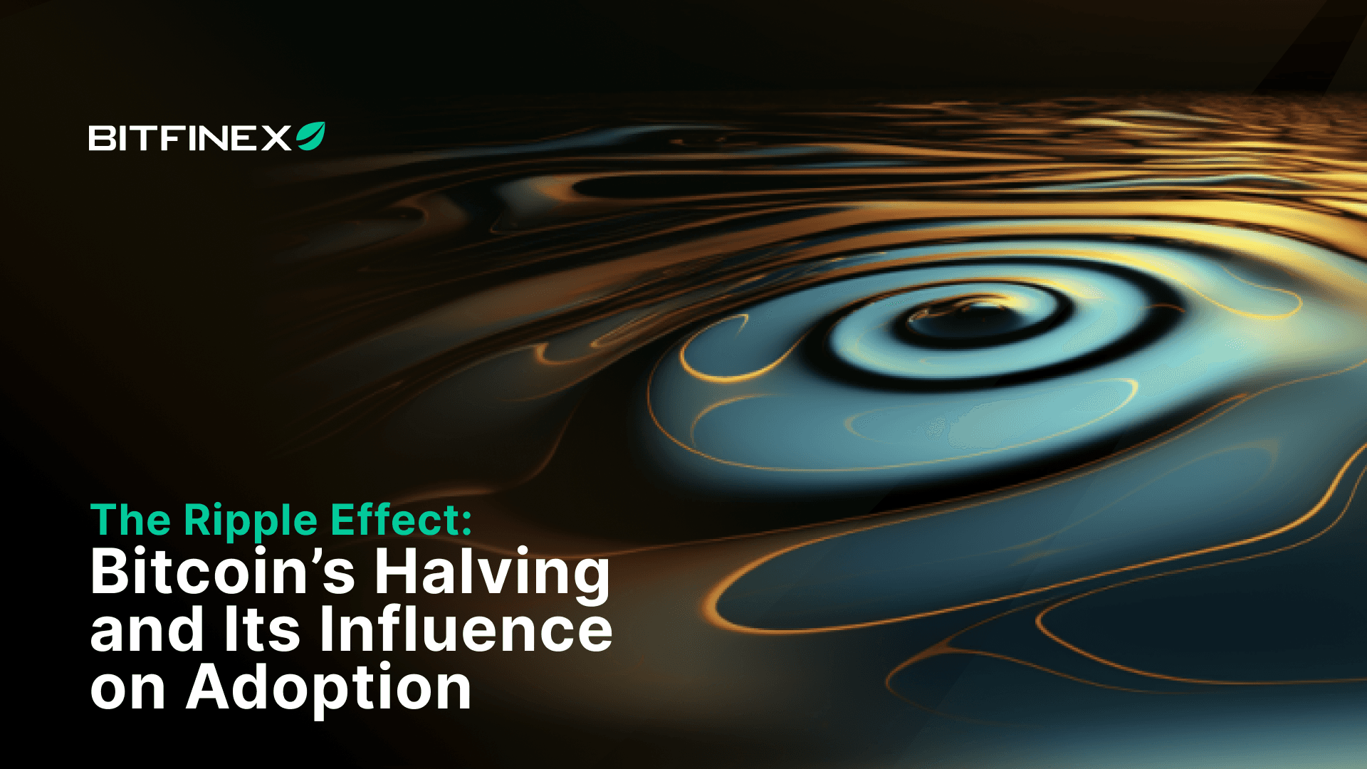 Anatomy of the Halving Part 4: The Ripple Effect: Bitcoin’s Halving and Its Influence on Adoption