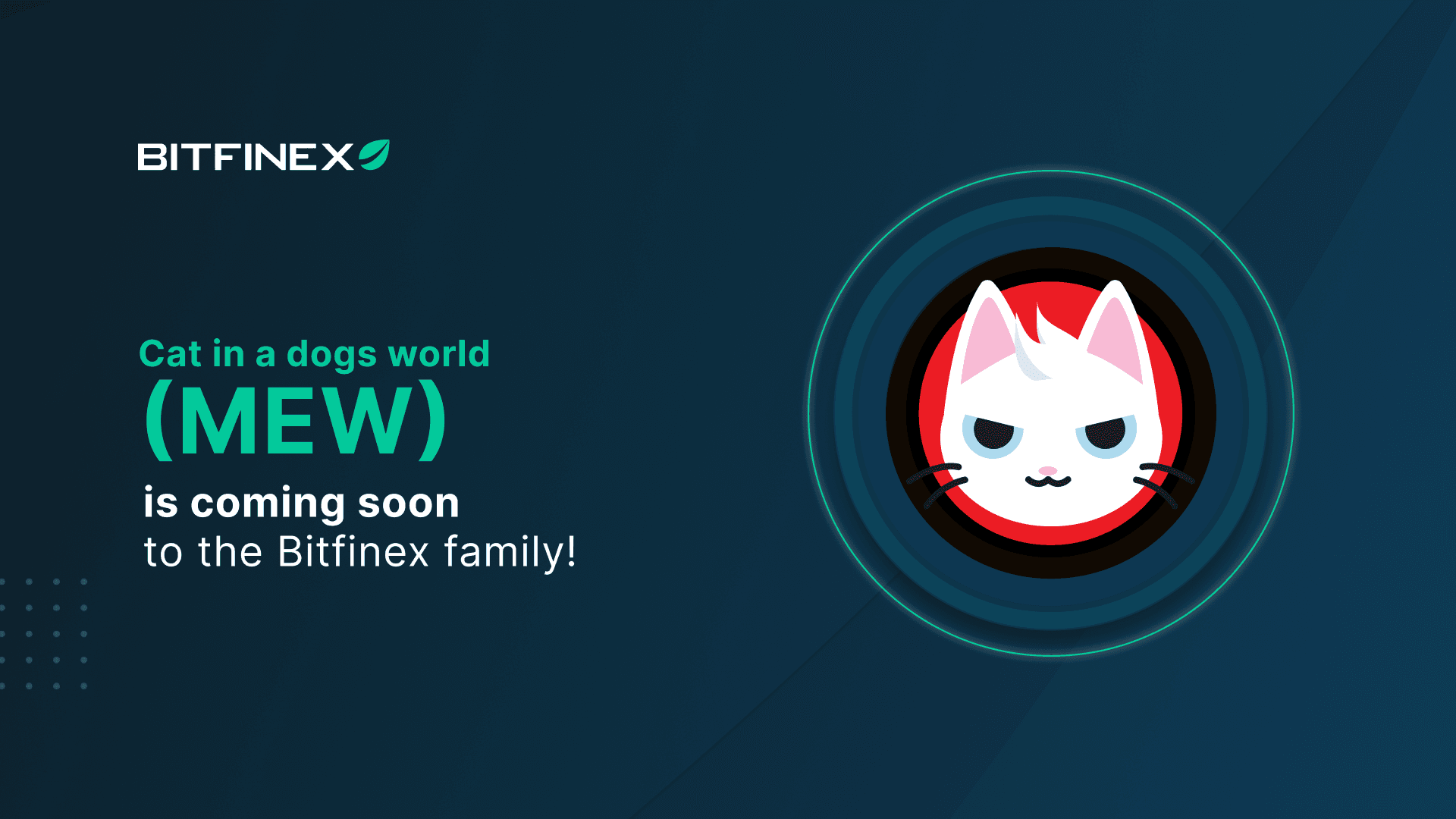 Bitfinex to List MEW, Native Token of cat in a dogs world