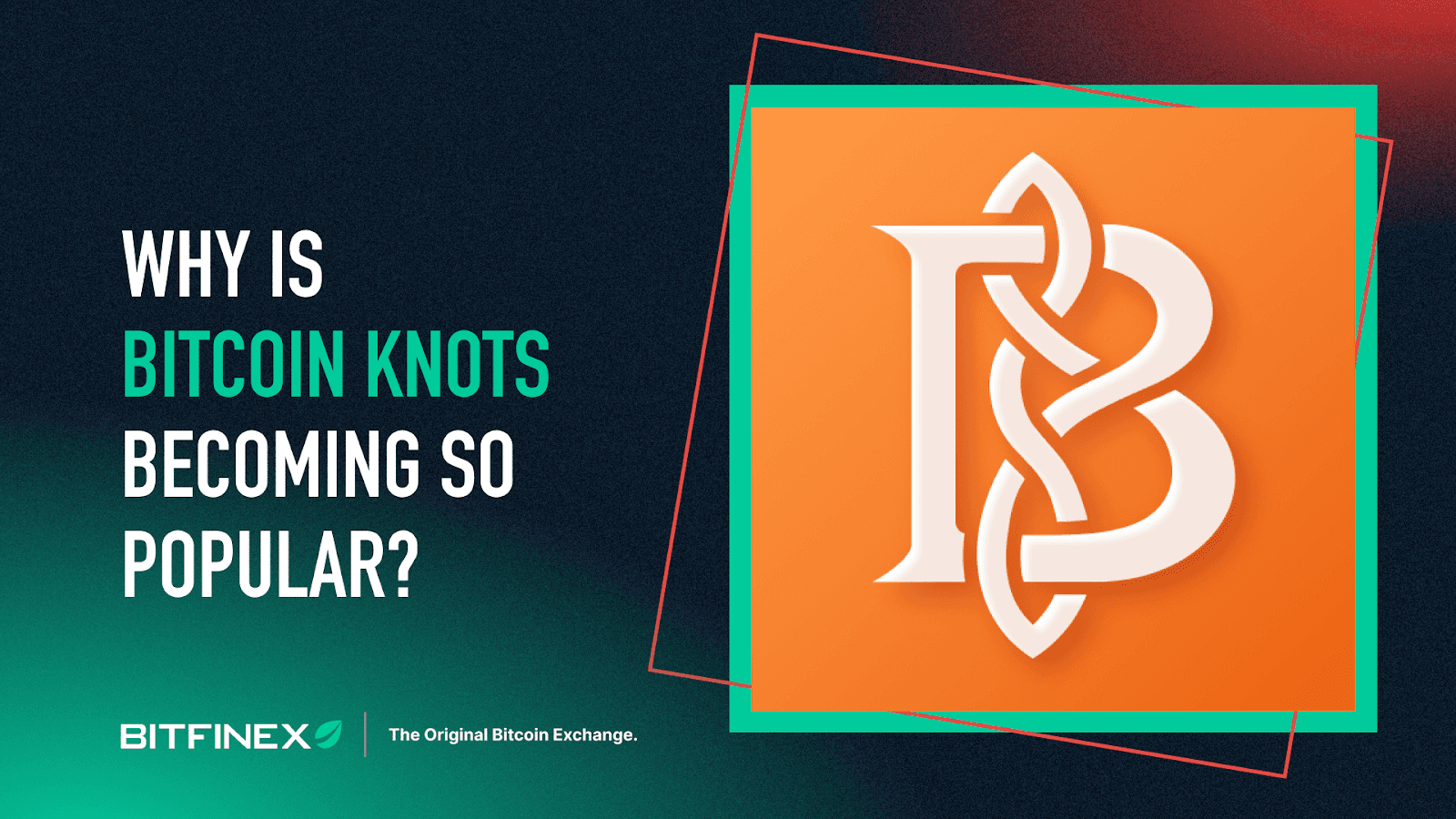 Why is Bitcoin Knots Becoming so Popular?
